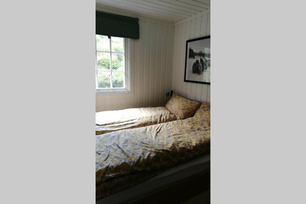 Nordfjordcabins Utvik Extérieur photo